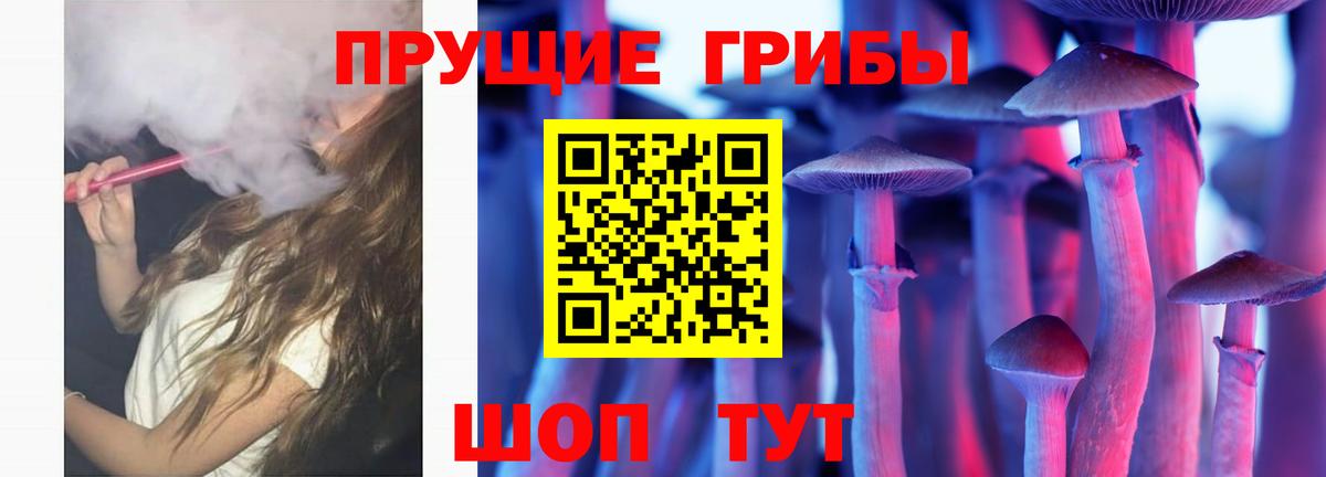 Галлюциногенные грибы Psilocybine cubensis Карачаевск